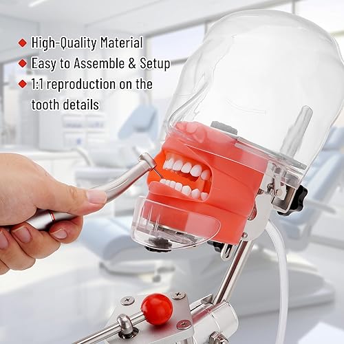 4E 4E's USA Dental Bench-Mounted Training Manikin: Phantom Head Model with Desk Clamp, Head Base, Facemask & Drainage Tube, Ideal for Demonstration & Education - Poueer