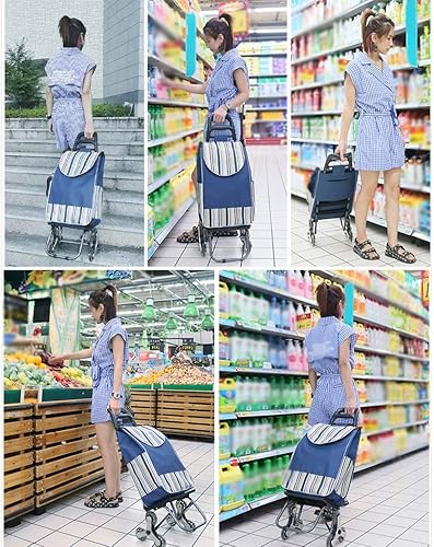 Hand Trucks Stair-Climbing Shopping Cart, Metal Frame 6-Wheel Multifunctional Shopping Cart, Multifunctional Luggage Cart with Wheels Trolleys(B) - Poueer