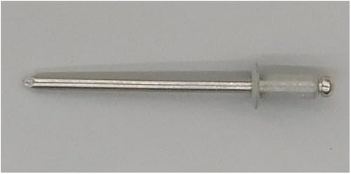 EAGLE 1: Stainless steel Rivets 1/8' x 1/4' (#43) (250, Light Stone) - Poueer