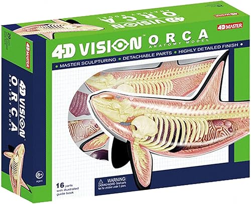 4D Dog Anatomy Model,Cat/Horse/Cow/Pig/AnimalCanine Skeleton, Animal Skeleton Specimen, Detachable Biology, Pet Clinic Veterinary TrainingSchool Teaching Tool,J - Poueer