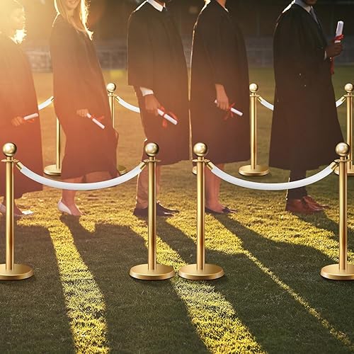 Fumete 6 Pieces Velvet Stanchion Rope Bulk 6.5 Feet Crowd Control Barriers Safety Velvet Rope with Polished Gold Hooks for Graduation Party Openings, Not Include Stanchion Post(Pink) - Poueer