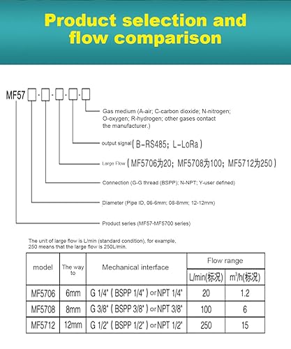 CJC Digital Gas Flow Meter Tester, Portable Gas Mass Air Nitrogen Oxygen Flow Rate Meter (MF5712(0-250L/min）) - Poueer