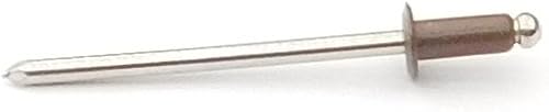 EAGLE 1: Stainless steel Rivets 1/8' x 1/4' (#43) (250, Light Stone) - Poueer