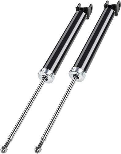 2pcs Suspension Absorber Strut Set Rear Left Driver and Right Passenger Side Black 344655 349244 346093 - Poueer