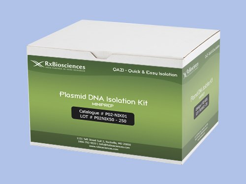 QAZIPlasmid DNA Isolation Kit, MINIPREP 50Prep, P02-NIK01-50 - Poueer