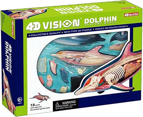 4D Dog Anatomy Model,Cat/Horse/Cow/Pig/AnimalCanine Skeleton, Animal Skeleton Specimen, Detachable Biology, Pet Clinic Veterinary TrainingSchool Teaching Tool,J - Poueer