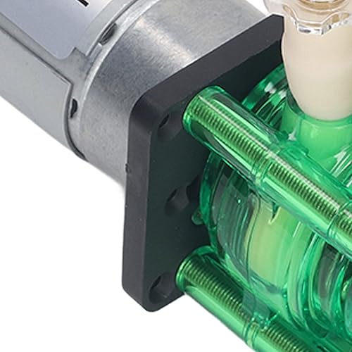 Pump, BPT Green Shell Pipe Double Head Low Noise Oxidation Large for Fine Chemicals (DC24V) - Poueer