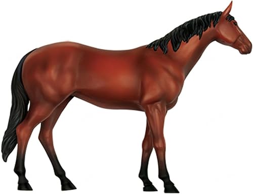 4D Dog Anatomy Model,Cat/Horse/Cow/Pig/AnimalCanine Skeleton, Animal Skeleton Specimen, Detachable Biology, Pet Clinic Veterinary TrainingSchool Teaching Tool,J - Poueer