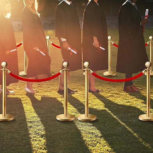 Fumete 6 Pieces Velvet Stanchion Rope Bulk 6.5 Feet Crowd Control Barriers Safety Velvet Rope with Polished Gold Hooks for Graduation Party Openings, Not Include Stanchion Post(Pink) - Poueer