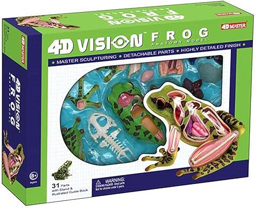 4D Dog Anatomy Model,Cat/Horse/Cow/Pig/AnimalCanine Skeleton, Animal Skeleton Specimen, Detachable Biology, Pet Clinic Veterinary TrainingSchool Teaching Tool,J - Poueer