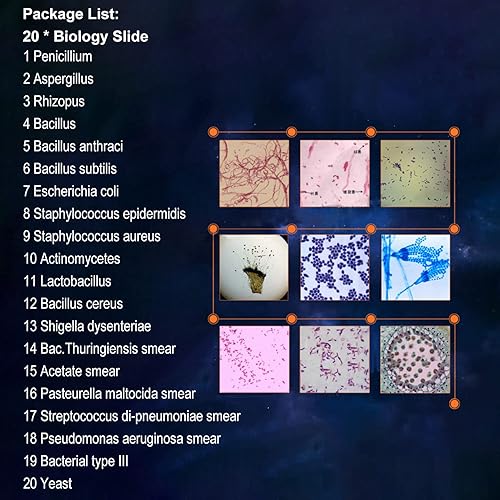 20pcs Microscope Slides Biology And Pathology Prepared Microbiological Bacterial Specimens Microscope Slide Set with Plastic Box - Poueer
