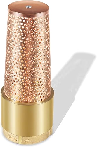 2 Inch Foot Valve for Irrigation Pump, No-Lead Brass Foot Valve, One-Way With ZEBRA MUSSEL Strainer - Poueer