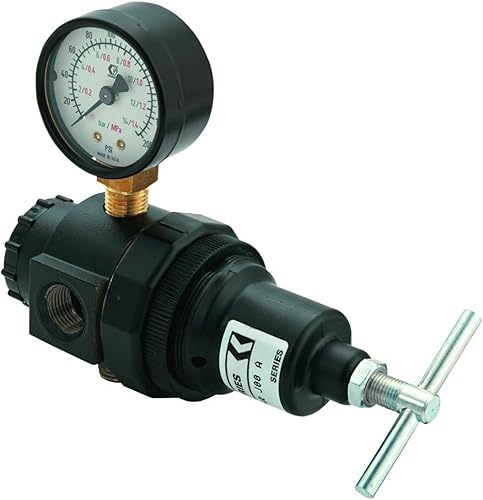 Graco 109075 3/8 Air Regulator With Guage - Poueer