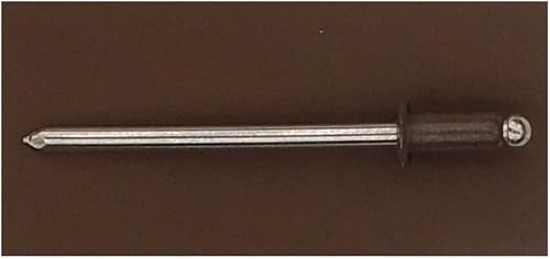 EAGLE 1: Stainless steel Rivets 1/8' x 1/4' (#43) (250, Light Stone) - Poueer