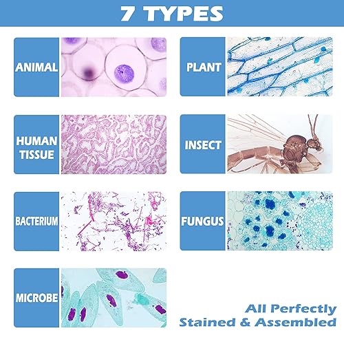 200 Packs Microscope Slides, 100 Plants & 100 Animal Tissues Includes Labels and Case for Biological Science Education - Poueer
