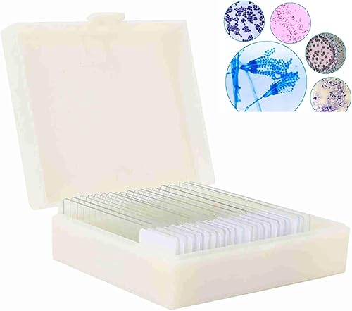 20pcs Microscope Slides Biology And Pathology Prepared Microbiological Bacterial Specimens Microscope Slide Set with Plastic Box - Poueer
