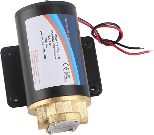 SelfPriming Pumps, Electric Oil Pump 3 Meter Lift Gear with Connectors for Extracting/kerosene (F70-101-012-101(12V)), PenRux5vwrxz73pe-11 - Poueer