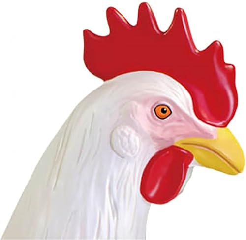 4D Dog Anatomy Model,Cat/Horse/Cow/Pig/AnimalCanine Skeleton, Animal Skeleton Specimen, Detachable Biology, Pet Clinic Veterinary TrainingSchool Teaching Tool,J - Poueer