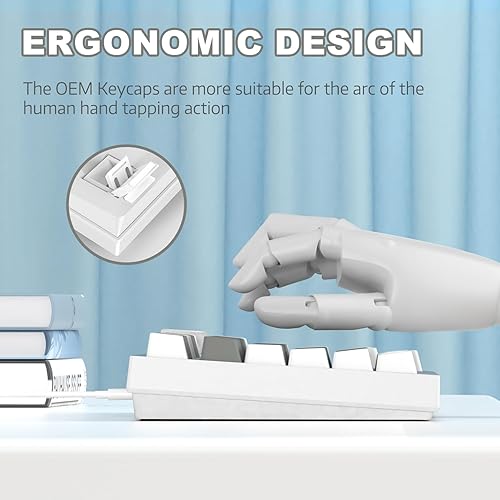 ATTACK SHARK X820ULTRA Wireless Gaming Mechanical Keyboard with TFT Smart Display&Knob,Side Printed PBT,Gasket Mounted 75% TKL Keyboard,BT5.0/2.4GHz/USB-C,RGB Backlit（White Contour,Shark Switch - Poueer