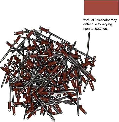 EAGLE 1: Stainless steel Rivets 1/8' x 1/4' (#43) (250, Light Stone) - Poueer