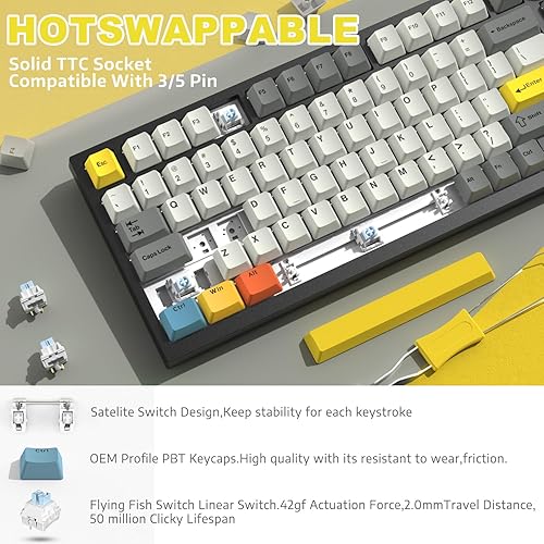 ATTACK SHARK X820ULTRA Wireless Gaming Mechanical Keyboard with TFT Smart Display&Knob,Side Printed PBT,Gasket Mounted 75% TKL Keyboard,BT5.0/2.4GHz/USB-C,RGB Backlit（White Contour,Shark Switch - Poueer