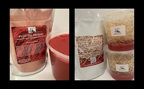 Flightless Fruit Fly (D. hydei) Culture kit - Includes: 1 Complete Culture, 3 containers with lids, 4 oz Dry Medium, Wood Wool, with Directions - Poueer