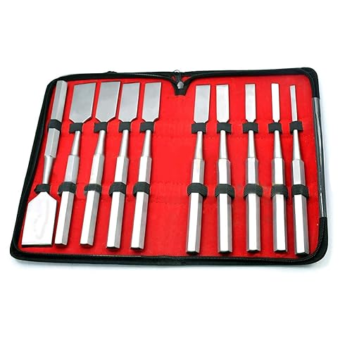 OdontoMed2011® 10 Pieces Set HIBBS Osteotome Orthopedic Instruments with Carrying CASE ODM - Poueer