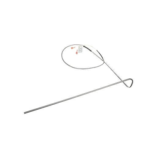 Groen RTD Probe, Gas Braising Pan 174851 - Poueer