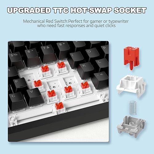 ATTACK SHARK X820ULTRA Wireless Gaming Mechanical Keyboard with TFT Smart Display&Knob,Side Printed PBT,Gasket Mounted 75% TKL Keyboard,BT5.0/2.4GHz/USB-C,RGB Backlit（White Contour,Shark Switch - Poueer