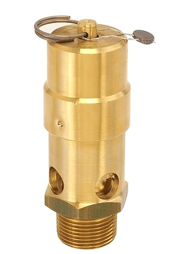 Control Devices SW10-0A175 SW Series Brass Soft Seat ASME Safety Valve, 175 psi Set Pressure, 1 Male NPT - Poueer