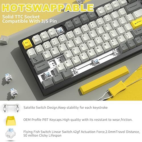 ATTACK SHARK X820ULTRA Wireless Gaming Mechanical Keyboard with TFT Smart Display&Knob,Side Printed PBT,Gasket Mounted 75% TKL Keyboard,BT5.0/2.4GHz/USB-C,RGB Backlit（White Contour,Shark Switch - Poueer