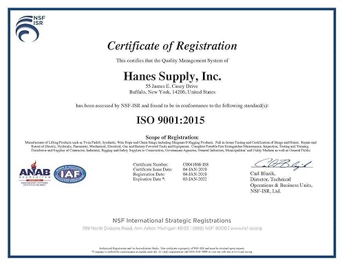 3/8' x 5' Single Leg Chain Sling | 8,800 Lbs WLL | Oblong Link-to-Oblong Link Ends | Grade 100 Alloy | 3/4' Master Link | for Tough Conditions | Hanes Supply (HSI) - Poueer