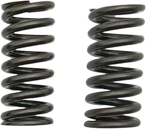 Door Hinge Spring Pin and Bushing Repair 20pc Kit Compatible with 1968-1979 Camaro Firebird Nova 4.1L 5.0L 5.7L EB-A00030 A00031 - Poueer