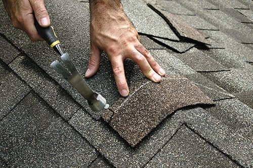 Grip Rite 112EGRFG10BK 1-1/2-inch Electro Galvanized Smooth Shank Bulk Roof Nails, 10lbs. - Poueer