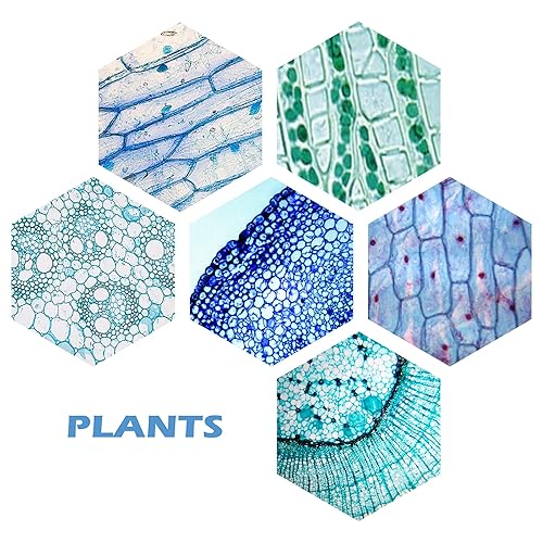200 Packs Microscope Slides, 100 Plants & 100 Animal Tissues Includes Labels and Case for Biological Science Education - Poueer