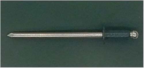 EAGLE 1: Stainless steel Rivets 1/8' x 1/4' (#43) (250, Light Stone) - Poueer