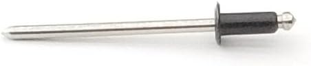 EAGLE 1: Stainless steel Rivets 1/8' x 1/4' (#43) (250, Light Stone) - Poueer