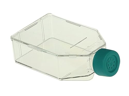 Nest Scientific 707003 Polystyrene Cell Culture Flask, Vent Cap, Tissue Culture Treated, Sterile, 25 cm², Clear, 10 per Pack, 200 per Case (Pack of 200) - Poueer