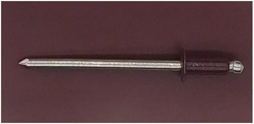 EAGLE 1: Stainless steel Rivets 1/8' x 1/4' (#43) (250, Light Stone) - Poueer